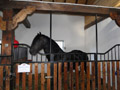 Stal en paardenpension